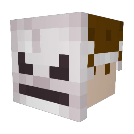 Voyagr_I Minecraft avatar head, 3D render