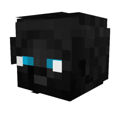 Voyd_145 Minecraft avatar head, 3D render