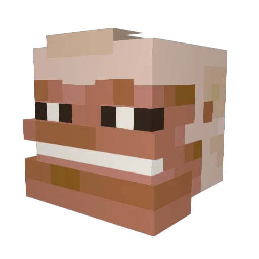Vozin5422 Minecraft avatar head, 3D render