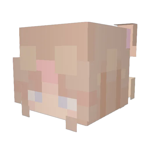 Vqlee Minecraft avatar head, 3D render