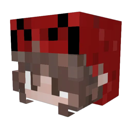 VqraPaskova Minecraft avatar head, 3D render