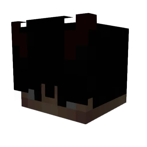 Vqssuuu Minecraft avatar head, 3D render