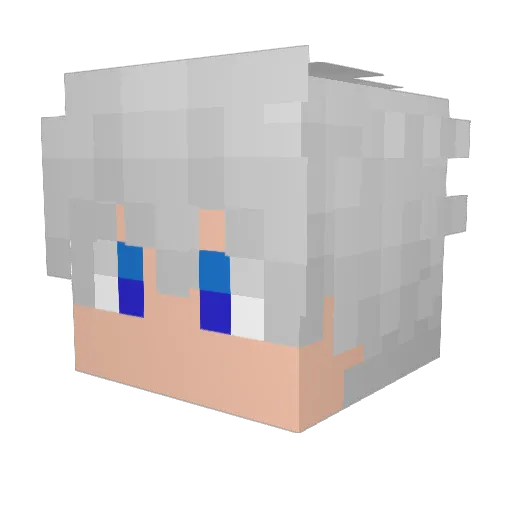 Vrachtraffel Minecraft avatar head, 3D render