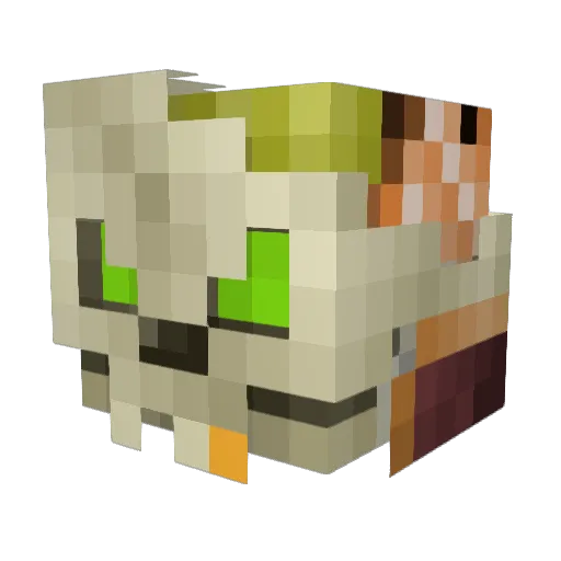 Vradhya Minecraft avatar head, 3D render