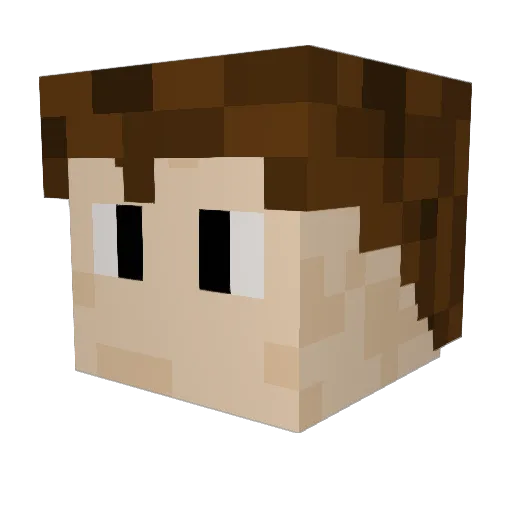 Vrankhen Minecraft avatar head, 3D render
