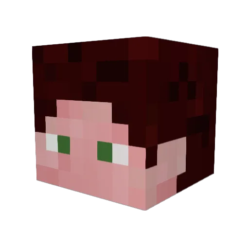 Vranngr Minecraft avatar head, 3D render