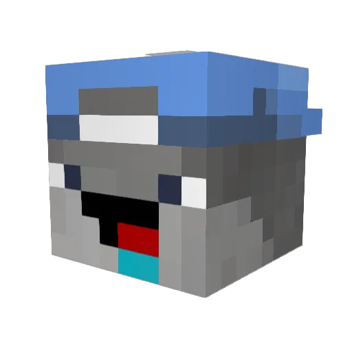 VrauWBus Minecraft avatar head, 3D render