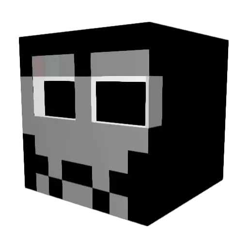 Vrboy1234 Minecraft avatar head, 3D render