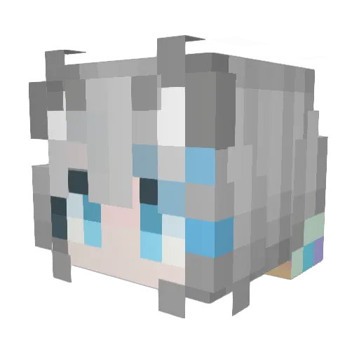 Vrbxp Minecraft avatar head, 3D render