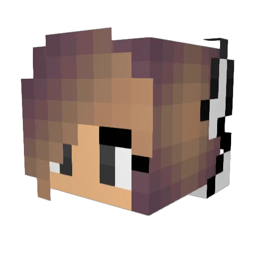 Vrekcare Minecraft avatar head, 3D render