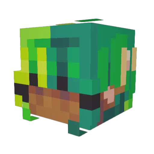 Vrienna Minecraft avatar head, 3D render