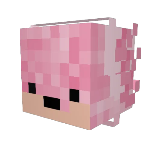 Vrntu Minecraft avatar head, 3D render