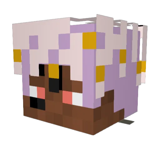 Vroly696 Minecraft avatar head, 3D render