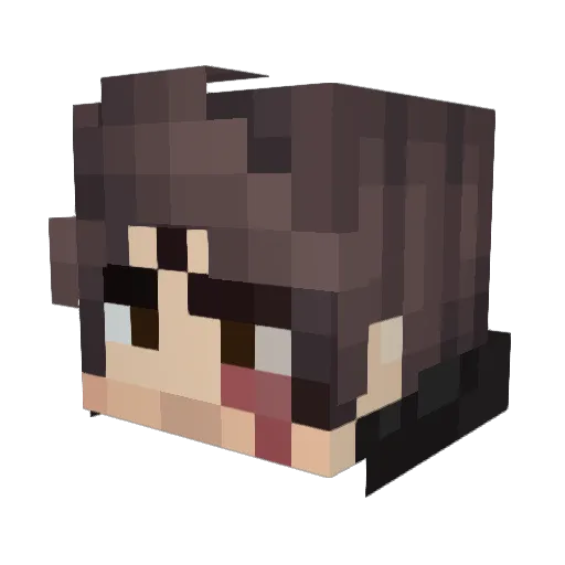 Vroyyy Minecraft avatar head, 3D render