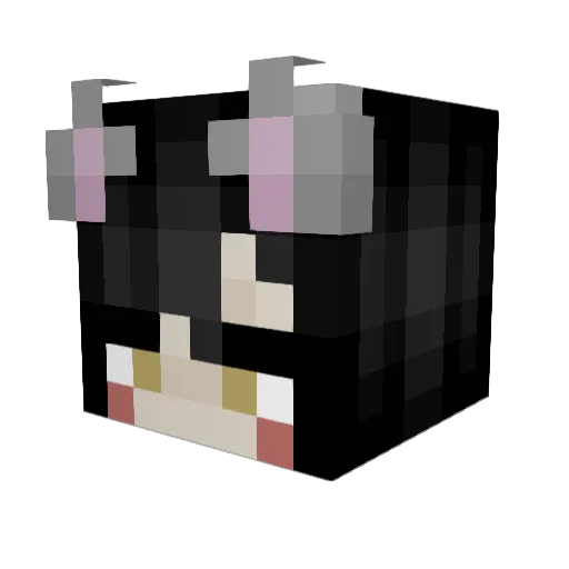 Vrui Minecraft avatar head, 3D render
