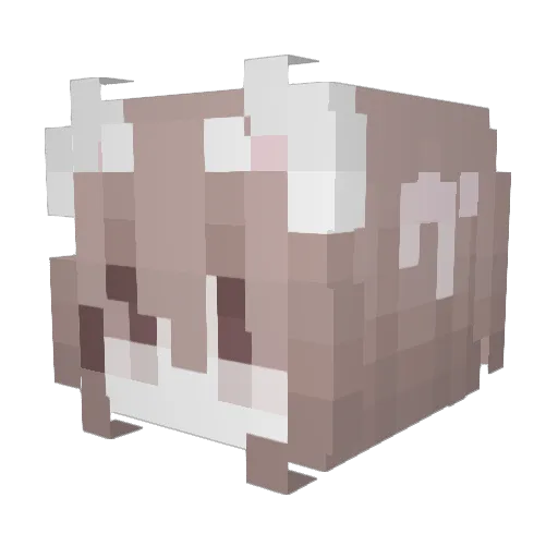 Vrxhanna Minecraft avatar head, 3D render