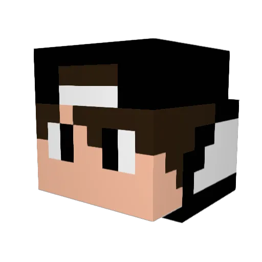 VsCraftGamer_GT Minecraft avatar head, 3D render