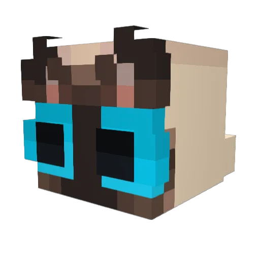 VsSolar Minecraft avatar head, 3D render