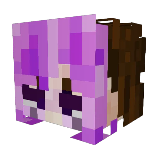 Vs_Las_focas Minecraft avatar head, 3D render