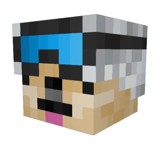 Vsab Minecraft avatar head, 3D render