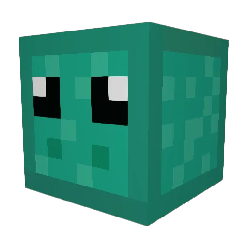 Vsco_Girl125 Minecraft avatar head, 3D render
