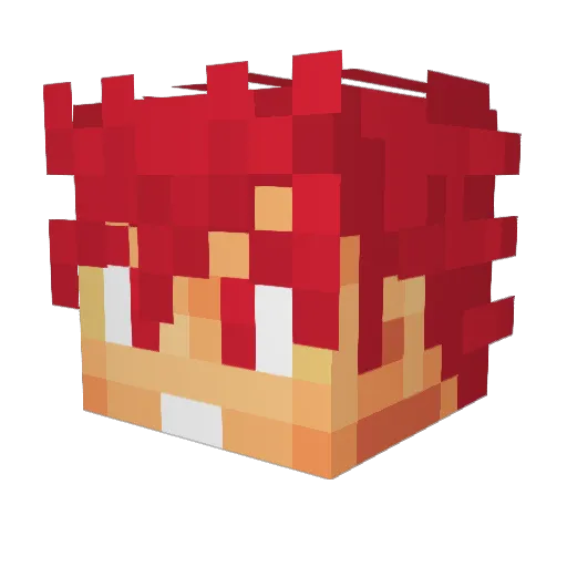 Vspecial2 Minecraft avatar head, 3D render
