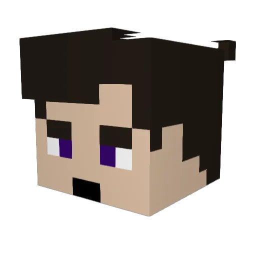 Vtroyxx Minecraft avatar head, 3D render