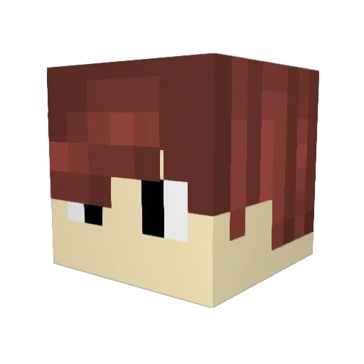 Vu1c3n Minecraft avatar head, 3D render