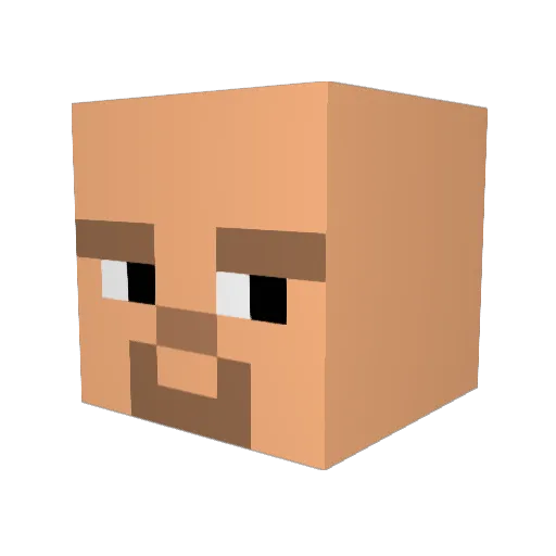 Vudce Minecraft avatar head, 3D render