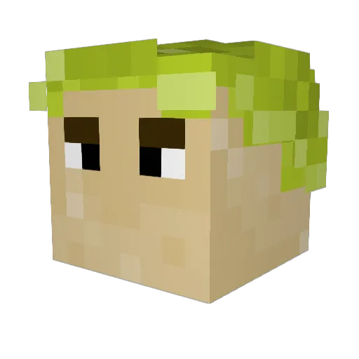 Vudi136 Minecraft avatar head, 3D render