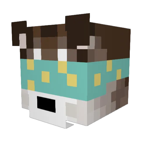 VulfePack5 Minecraft avatar head, 3D render