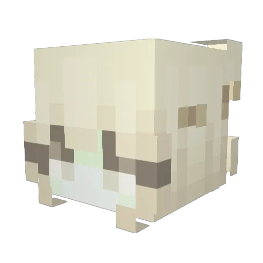 Vulgar Minecraft avatar head, 3D render