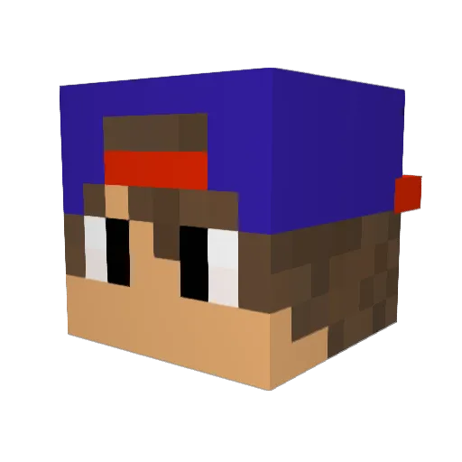 VulgoSwaag Minecraft avatar head, 3D render