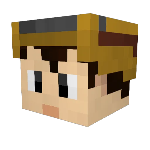 Vulgo_Julim Minecraft avatar head, 3D render