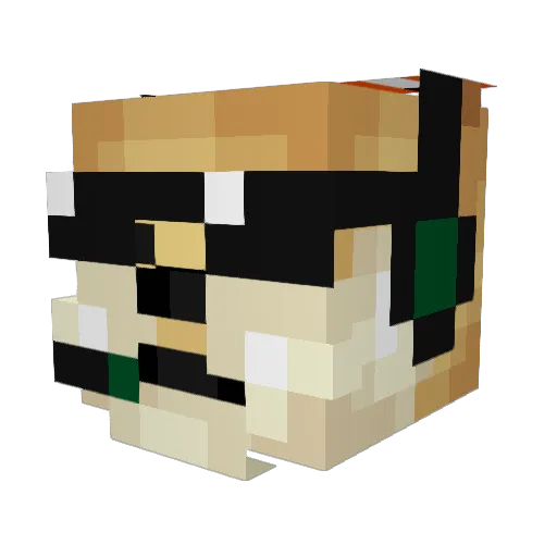 Vulgo_Salsicha Minecraft avatar head, 3D render