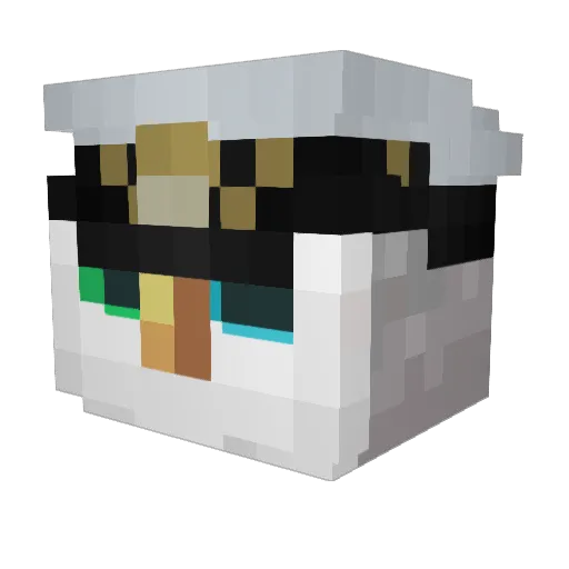 Vulnerax Minecraft avatar head, 3D render