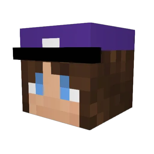 Vulpaxy Minecraft avatar head, 3D render