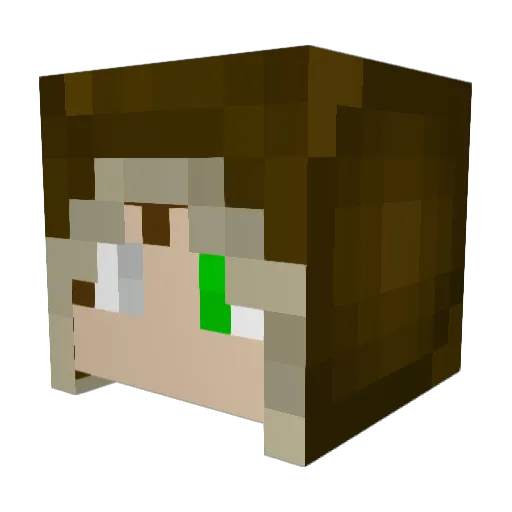 Vulpi_s Minecraft avatar head, 3D render
