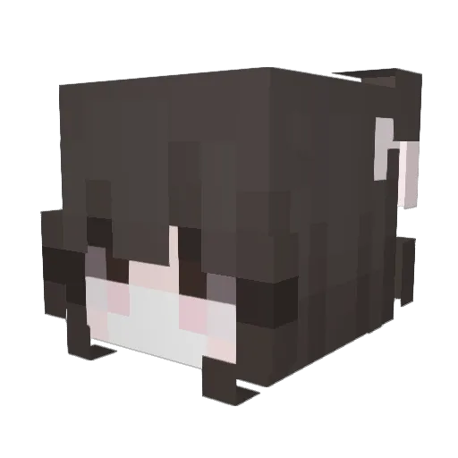 Vulpicxx Minecraft avatar head, 3D render