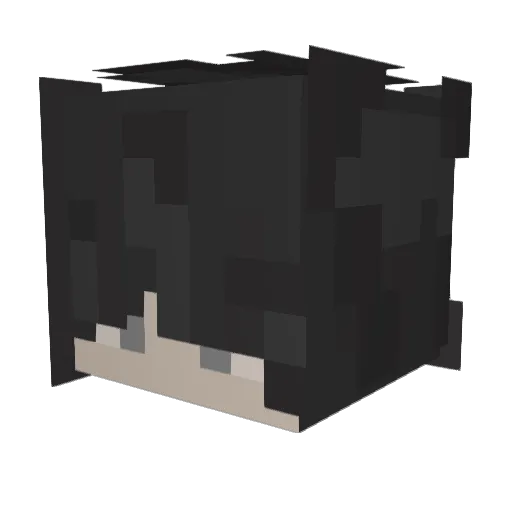 Vultrix378 Minecraft avatar head, 3D render