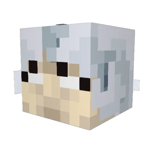VultureSalesman Minecraft avatar head, 3D render