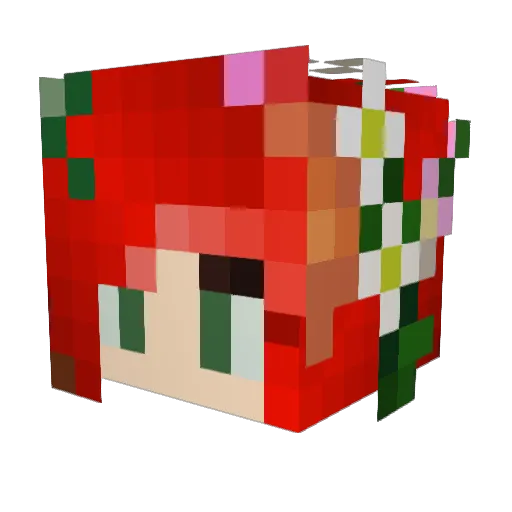 VultureSlayer Minecraft avatar head, 3D render