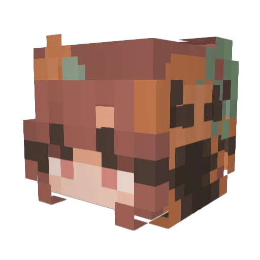 Vulturetrash Minecraft avatar head, 3D render