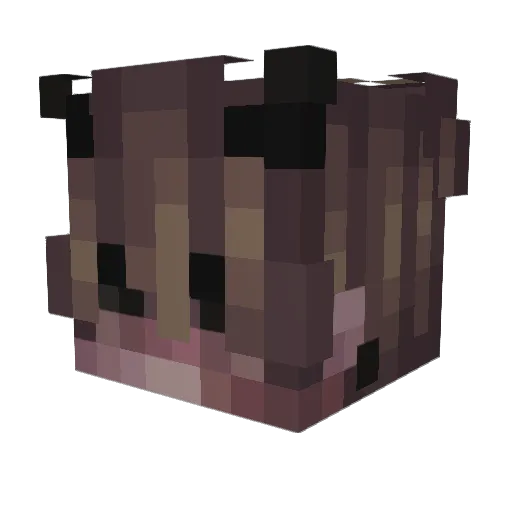 Vunexy Minecraft avatar head, 3D render