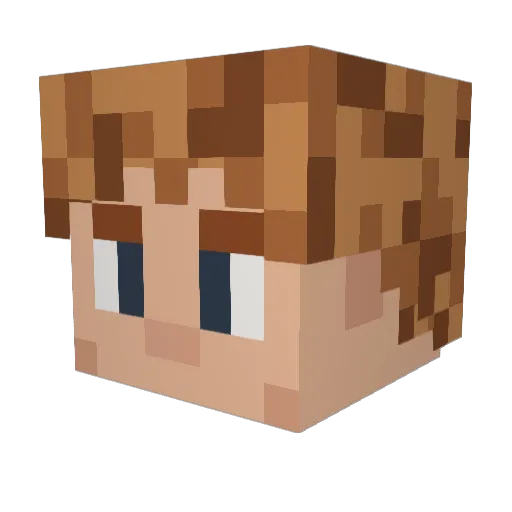 VuurSoepje Minecraft avatar head, 3D render
