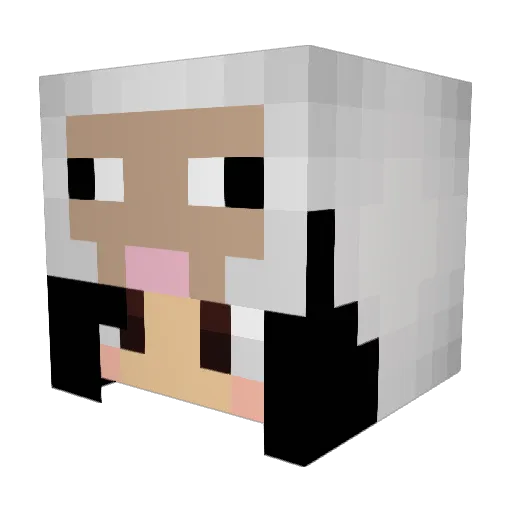 Vuxss1a Minecraft avatar head, 3D render
