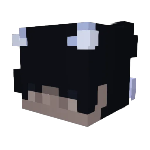 Vuyx Minecraft avatar head, 3D render