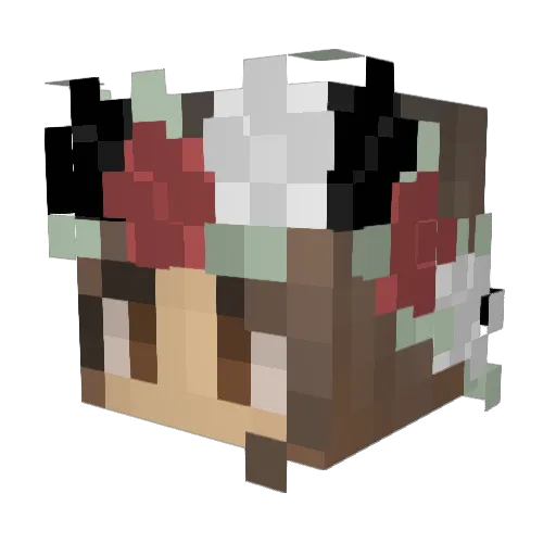 VvLovesBTS123 Minecraft avatar head, 3D render