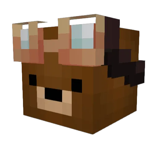 VvRaQ96vV Minecraft avatar head, 3D render