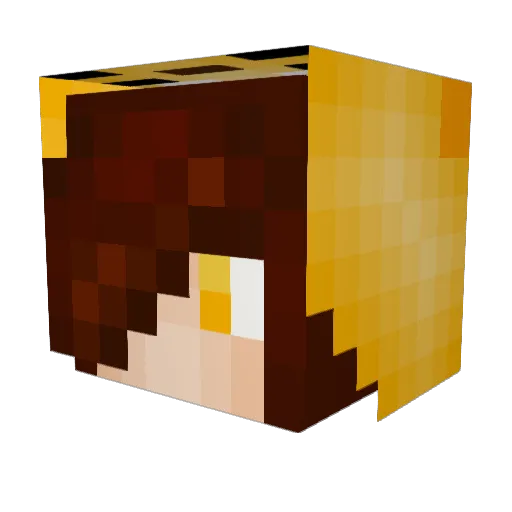 Vvili_ Minecraft avatar head, 3D render